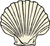 Scallop Shell Clip Art